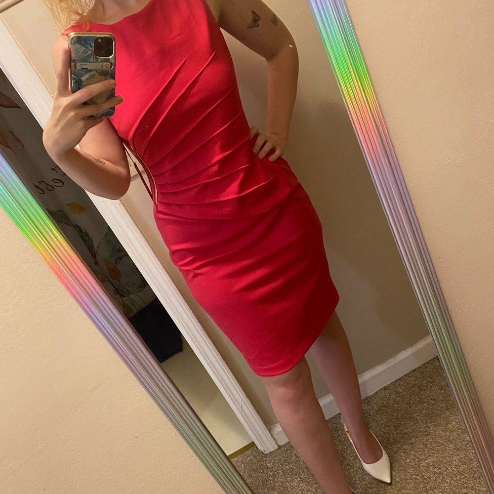 NWT pink shift dress